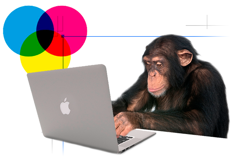 DTP制作／印刷物デザイン・編集